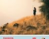 The Story of God People and Land Semester 2 2026