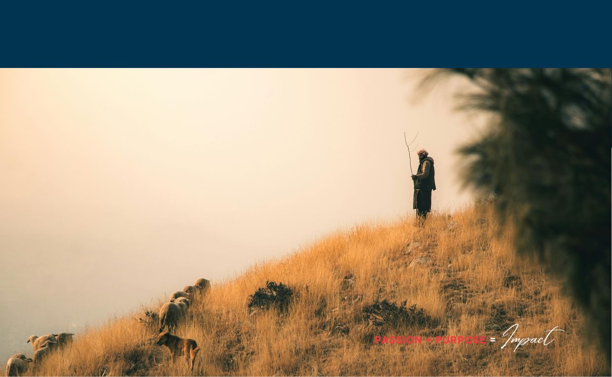 The Story of God, People and Land